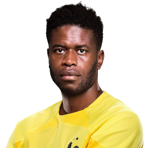 Brice Samba