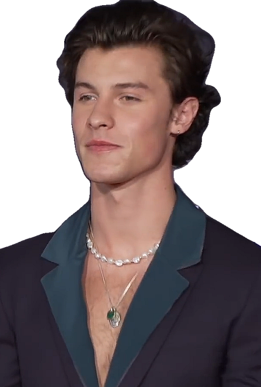 48_Shawn_Mendes