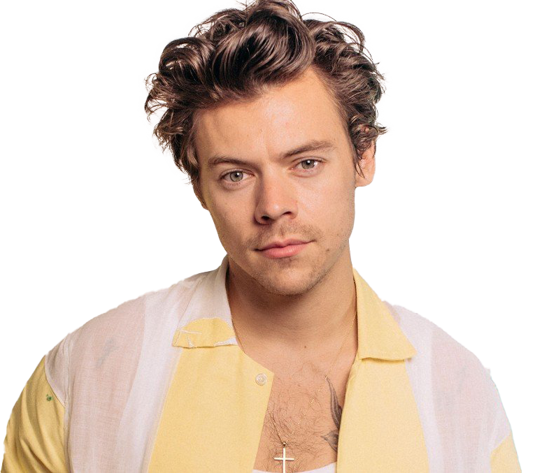 Harry-Styles-PNG-File-Download-Free